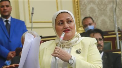 طاقة النواب تستدعي وزير البترول بشأن سرعة إنهاء توصيل الغاز الطبيعي