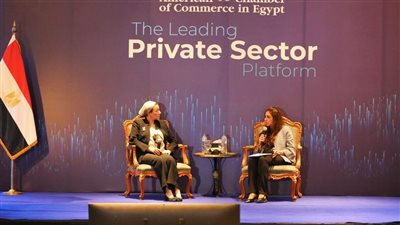 وزيرة البيئة تستعرض رؤية مصر لتحقيق النمو الأخضر بالشراكة مع القطاع الخاص