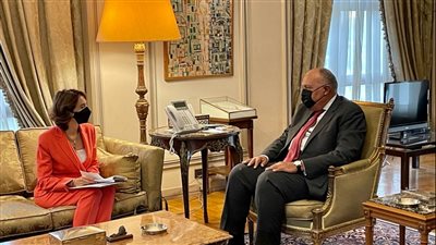 وزير الخارجية: المواجهة الفكرية للإرهاب والتطرف وخطاب الكراهية على رأس الأولويات المصرية