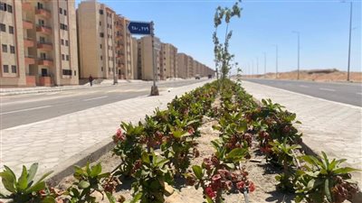 جهاز أكتوبر الجديدة ينفذ 10392 وحدة بمشروع سكن لكل المصريين2