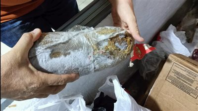 ضبط 19 طن مواد غذائية فاسدة وتحرير 9 محاضر متنوعة بكفر الشيخ| صور 