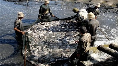 بعد إطلاقه.. ما أهداف قانون حماية وتنمية البحيرات والثروة السمكية؟