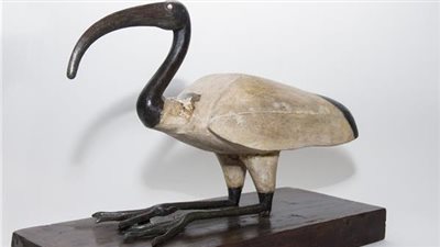 متحف الآثار بمكتبة الإسكندرية يعرض تمثالا للإله جحوتي 