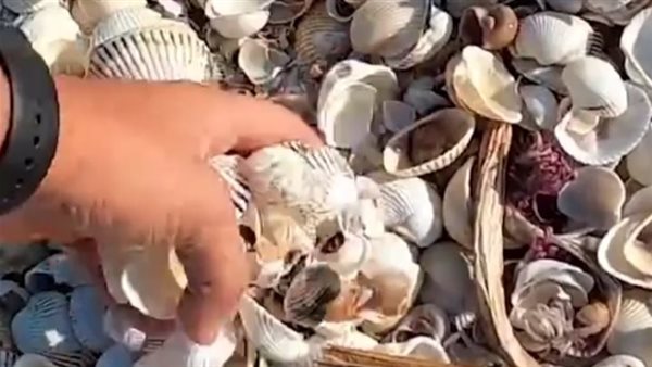 محافظة السويس 