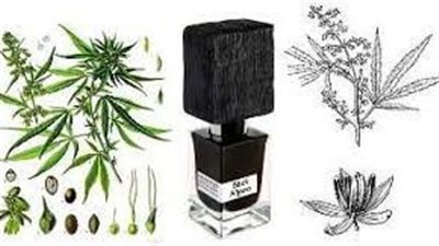 عطر جديد برائحة الحشيش.. ما تفاصيل المنتج؟