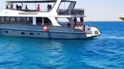 أفواج سياحية تنطلق في رحلات بحرية بالغردقة للاستمتاع بمشاهدة الدلافين