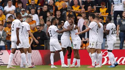 برينتفورد يتفوق على ولفرهامبتون بهدفين في الدوري الإنجليزي