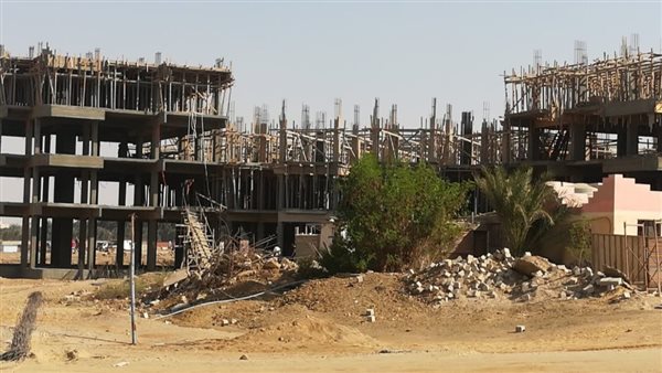 مشروع أشجار سيتي