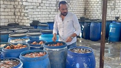 ضبط مصنعي مخلل وصابون دون ترخيص في البحيرة