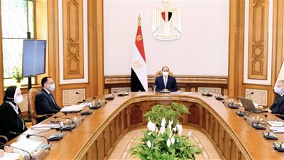 السيسي يوجه بتفعيل برامج الحماية التأمينية والاجتماعية للفنانين ضد الشيخوخة والعجز