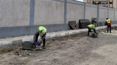 حملات النضافة ومصنع التدوير يقضيان علي مقالب القمامة ببورسعيد | صور