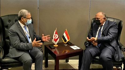 وزير خارجية تونس: موقفنا من سد النهضة لا يستهدف أي طرف.. وهدفه التوصل لحل عادل 