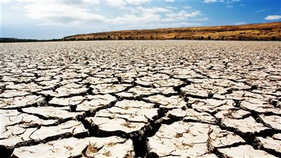 تصحر الأراضي الزراعية في مصر.. ظاهرة تهدد الأمن الغذائي وتفاقم التدهور البيئي | تحقيق 