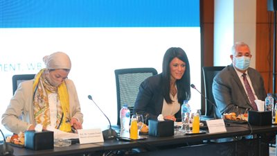 التعاون الدولي: تشكيل لجنة وطنية لوضع أولويات تقرير المناخ والتنمية بمصر