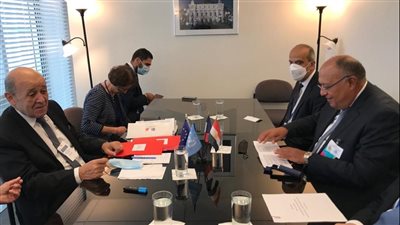 وزير الخارجية يبحث مع نظيريه الفرنسي والأيرلندي سبل دفع العلاقات الاستراتيجية | صور