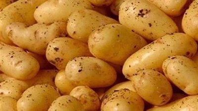 رئيس لجنة سلامة الغذاء تُحذر من تناول البطاطس في هذه الحالة 
