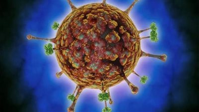 بسبب البرقوق.. وفاة صبي بفيروس نيباه في الهند 