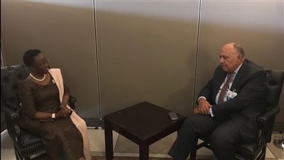 شكري يلتقي وزراء خارجية تنزانيا وكوريا الجنوبية وإيطاليا لتعزيز العلاقات المشتركة | صور