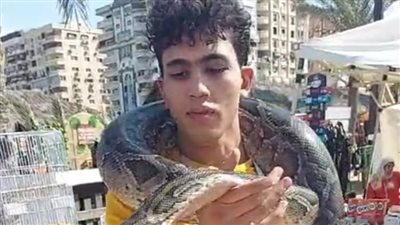 كوبرا وثعالب.. شاطئ بورسعيد يشهد أكبر تجمع للزواحف