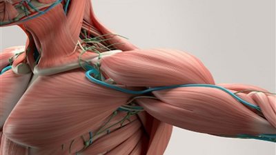 أبرزها عدم القدرة على المشي.. علامات الإصابة بـ ضمور العضلات الشوكي
