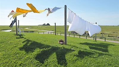 حبل عادي.. كيف استطاع ستيف كوميسار النصب على الزبائن ؟