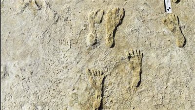 كشف أثري أقدم من الحضارة المصرية بأمريكا يثير الجدل.. وكبير الأثريين: حضارتنا تعود إلى 55 ألف عام