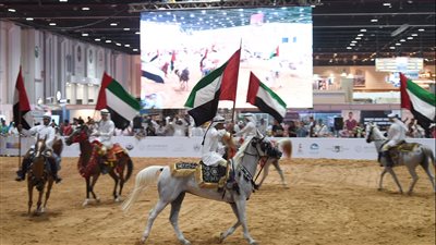قفزة نوعية تشهدها فعاليات الخيل بمعرض أبوظبي الدولي للصيد والفروسية
