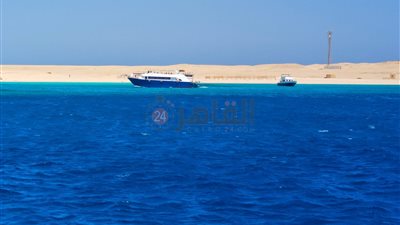 ممارسة الغطس والسنوركلينج.. نشاط ملحوظ لـ الرحلات البحرية بالغردقة | صور وفيديو