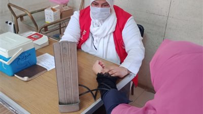 فحص 80 ألف سيدة ضمن مبادرة العناية بصحة الأم والجنين بالدقهلية
