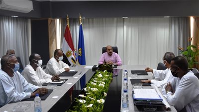 محافظ أسوان يوجه بإزالة تعديات على أراضٍ مخصصة لإنشاء قرية نموذجية