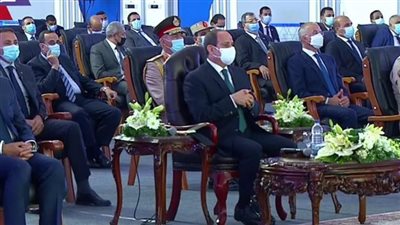 السيسي: رفع الدعم عن أي مواطن يتعدى على أراضي الدولة