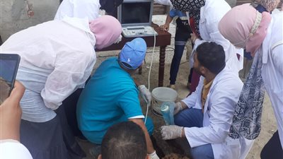 معهد بحوث التناسليات: 50 قافلة بيطرية لفحص وعلاج 37.462 حيوانا