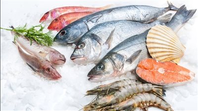 البلطي بـ 30 جنيه.. أسعار الأسماك اليوم في السويس