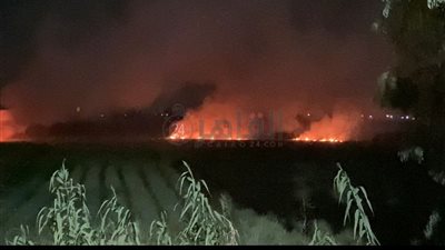 رغم تحذيرات البيئة.. حرائق هائلة بسبب مخلفات الأراضي الزراعية بالدقهلية | فيديو 