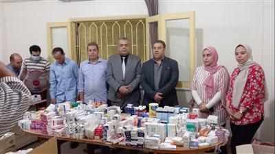 ضبط 3646 صنف أدوية مجهولة المصدر ومنتهية الصلاحية في البحيرة