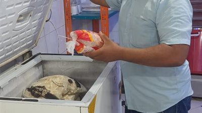 تحرير 102 مخالفة لمنشآت غذائية في المنيا