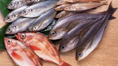 تعرف على أسعار الأسماك في الأسواق المصرية اليوم