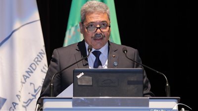 نائب وزير التعليم العالي: لدينا 100 ألف طالب إفريقي والاستثمار فيهم له ثماره المستقبلية