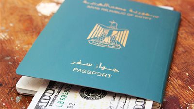 1398 حصلوا على جنسيات أجنبية وفقدوا المصرية.. وأصحاب المؤهلات العليا في صدارة المهاجرين 