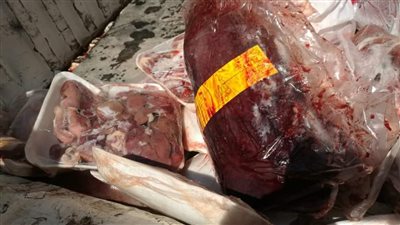 ضبط لحوم وكبدة ودواجن غير صالحة للاستهلاك الآدمي داخل مطاعم في الفيوم |صور