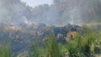 حريق في أرض زراعية بقرية أبو الريش بأسوان.. والحماية المدنية تسيطر عليه