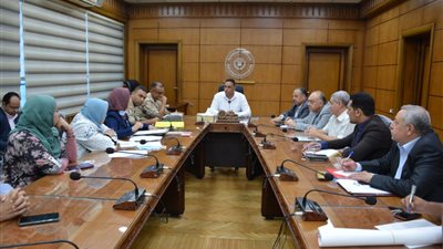 محافظ الدقهلية يناقش إجراءات استكمال مشروعات حياة كريمة