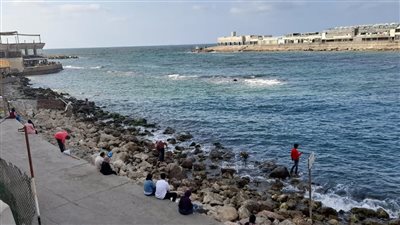 ولا على بالهم.. جدل حول مشهد أشخاص يصطادون خلال حريق مطاعم جليم بالإسكندرية