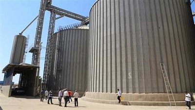 ننفرد بنشر القواعد المحددة للعلاوة والمنح بالشركة المصرية للصوامع والتخزين |مستند