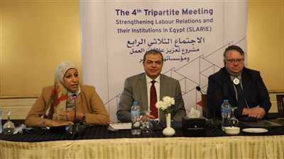 القوى العاملة ومنظمة العمل الدولية تجتمعان لـ تعزيز علاقات العمل ومؤسساتها