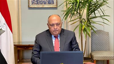 اليوم.. وزير الخارجية يستقبل نائب رئيس المجلس الرئاسي الليبي ويعقد جلسة مباحثات