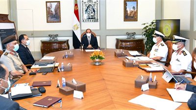  الرئيس السيسي يوجه بتدقيق دراسات التصدي لظاهرة النحر وتآكل الشواطئ