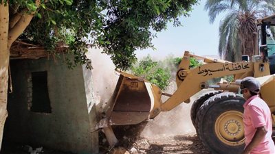 إزالة 256 حالة تعد على أراضي أملاك دولة بأسيوط ضمن المرحلة الأولى للموجة 19