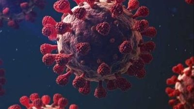 تسجل 25 حالة إصابة جديدة بفيروس كورونا في كفر الشيخ 