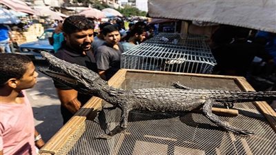 بعد حملة سوق الجمعة.. نقابة الباعة الجائلين: الشطب عقوبة كل من يتاجر بأشياء غير قانونية 